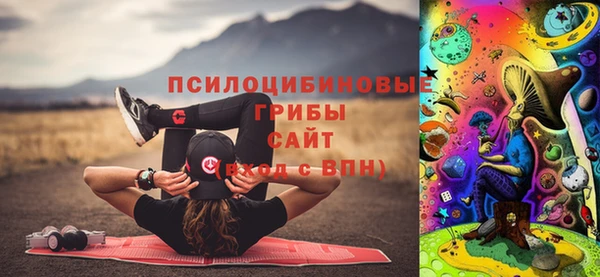mix Белокуриха
