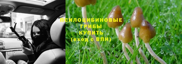 mix Белокуриха